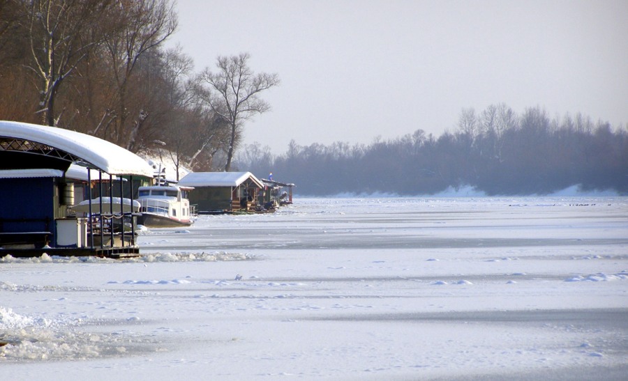 Zale�ena Sava 2012